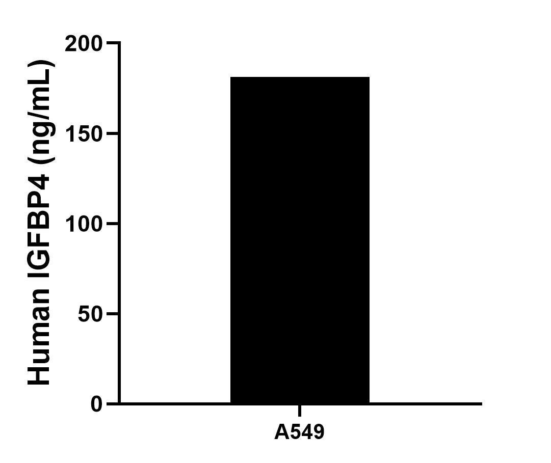 A549 were cultured in DMEM supplemented with 10% fetal bovine serum, 2.5 mM L-glutamine, 100 U/mL penicillin, and 100 μg/mL streptomycin sulfate. The mean IGFBP4 concentration was determined to be 181.3 ng/mL in A549 cell supernatant.